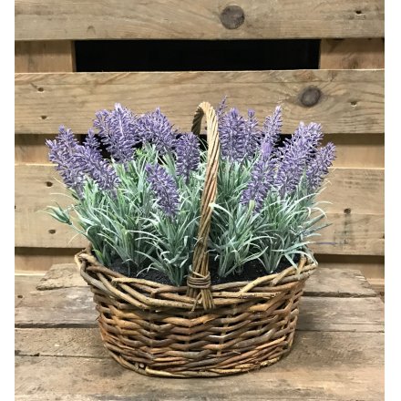Lavender in Basket 28cm