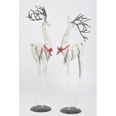 White Metal Reindeer, 2a
