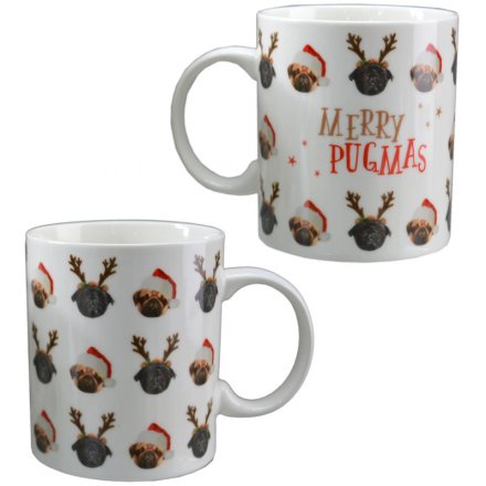 Jack Evans Christmas Pugs Mugs 