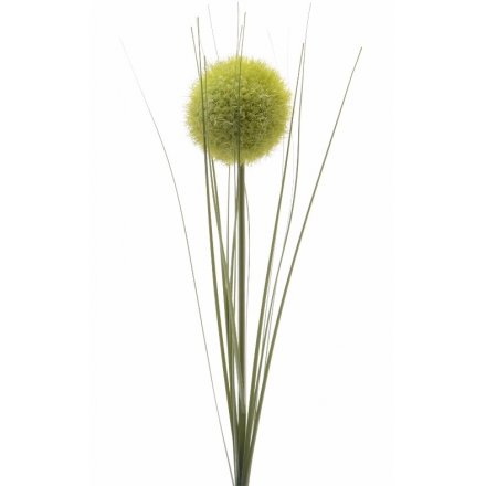 Green Silk Allium, 66cm
