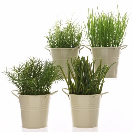 Herb Plants in Zinc Pots, 4a