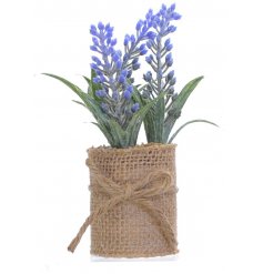 Place this charming rustic lavender around the home for a country touch. It comes with a hessian wrapped base.