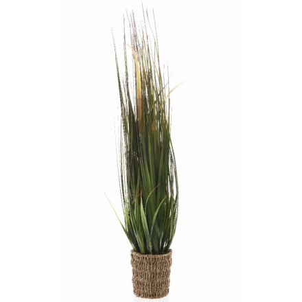 Grass in Basket 80cm