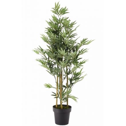 Bamboo Plant in Pot, 125cm