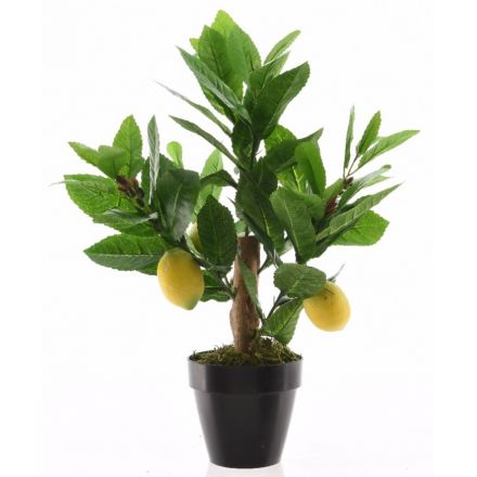 Lemon Tree W/Lemons 35cm