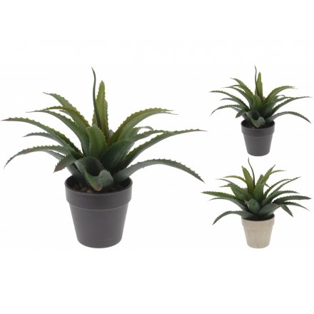 Artificial Aloe Vera Plant