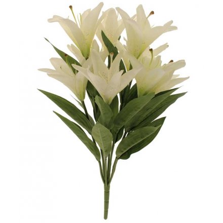 A stunning bunch of lily flowers with 9 heads. Makes a beautiful floral display.