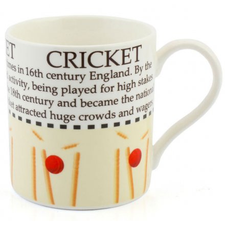 Cricket Fact Mug Boxed