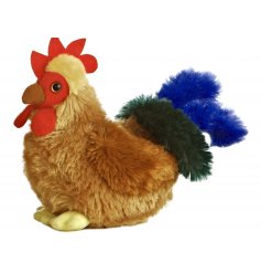 A fluffy brown cockerel with a colourful blue and green feathered tail