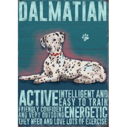 Dalmatian Metal Sign