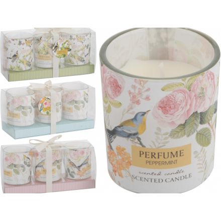 Vintage Birds Candle in Glass 3 Packs