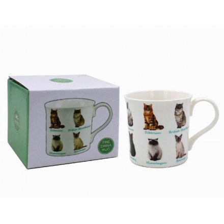 Cats China Mug Gift Boxed