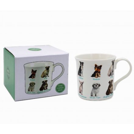 Dogs China Mug Gift Boxed