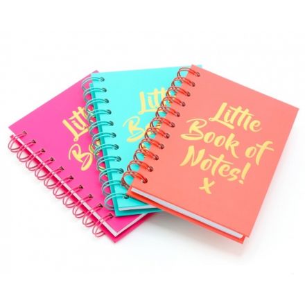 Little Book Of Notes A6 Notebook