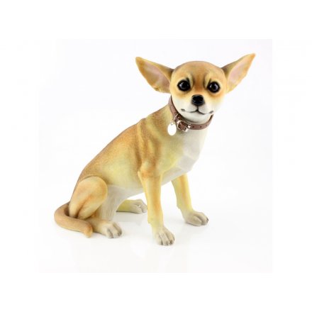 Chihuahua Sitting Figure