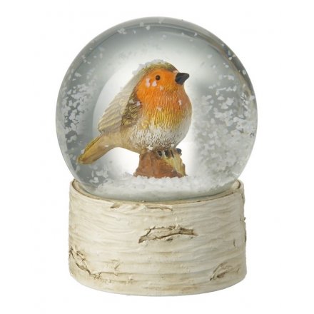 Glass Robin Snow Globe