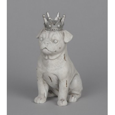 Dog With Crown