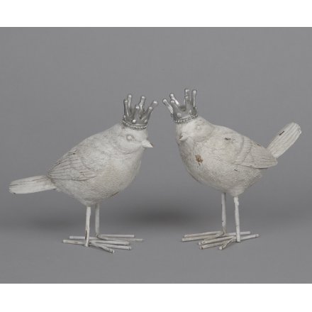 Birds With Crown, 2a