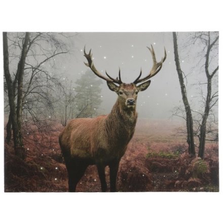 Light Up Stag Canvas Extra Large 80cm