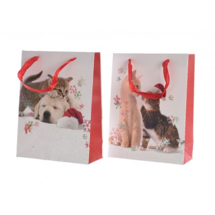 Medium Kitten / Puppy Christmas Gift Bag, 2 Assorted
