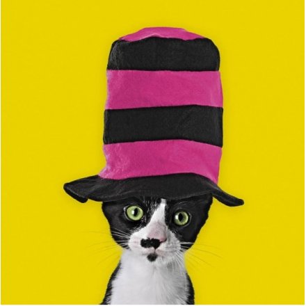 Top Hat Cat Greeting Card