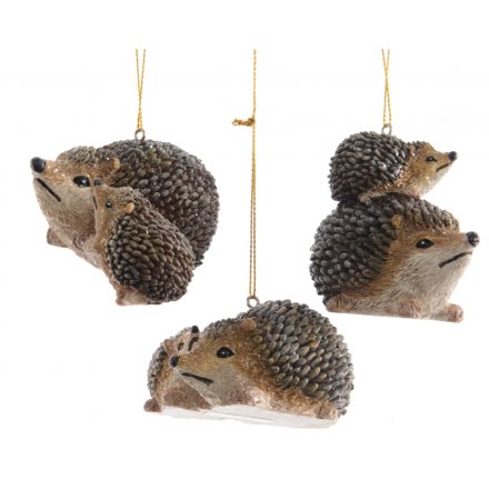 Hedgehog Duo Hanging Decorations, Mixed