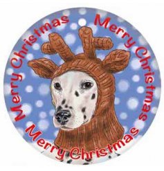 A great alternative to hanging baubles on your tree this year! 
