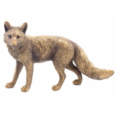 Bronze Fox