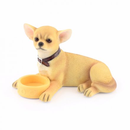 Chihuahua With Bowl