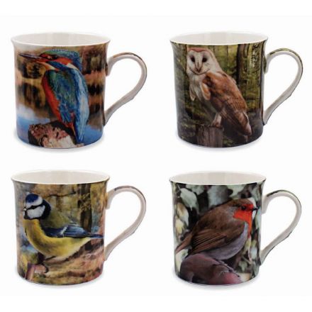 Birds Mugs Set Of 4
