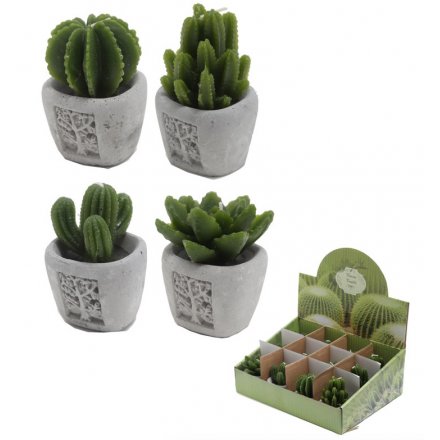 An assortment of 4 mini cacti candles in concrete pots 