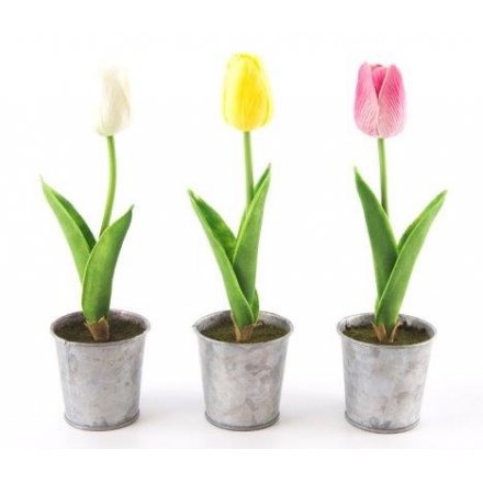 Foam Tulips In Tin Pots, 3 Assorted