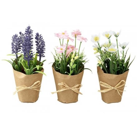 Flower Pots, 3a