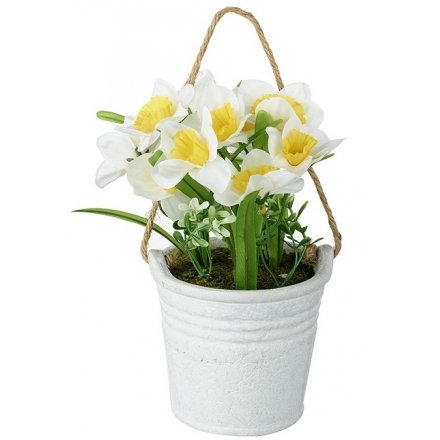 Daffodils in Hanging Pot
