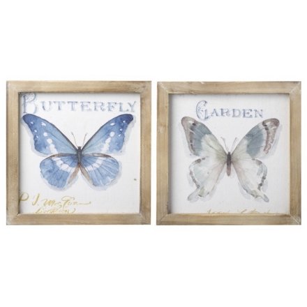 Butterfly Print, 2a