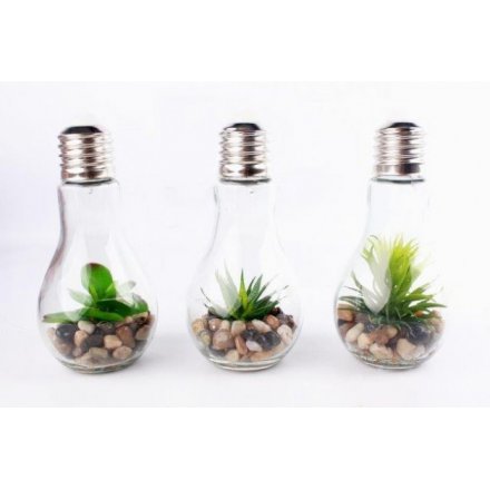 EL0522 / Succulent In Led Bulb | 35955 | Interior Decor / Artificial ...
