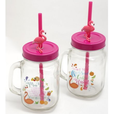 Glass Drinking Jar With Flamingo Straw, 2 Assorted