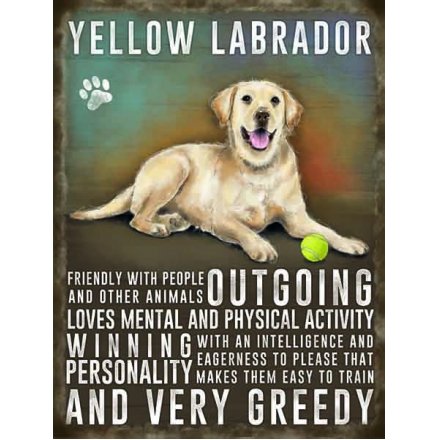 Yellow Labrador Magnet
