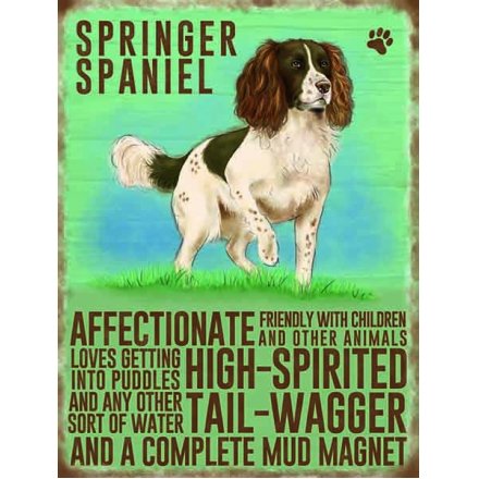 Springer Spaniel Magnet