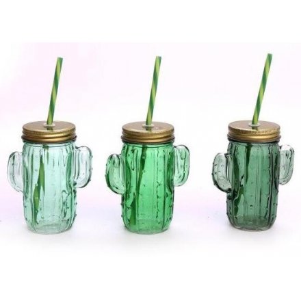 Cactus Drinking Mason Glass  Jar Mix