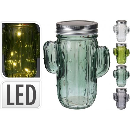 LED Cactus Jars, 4 Assorted 