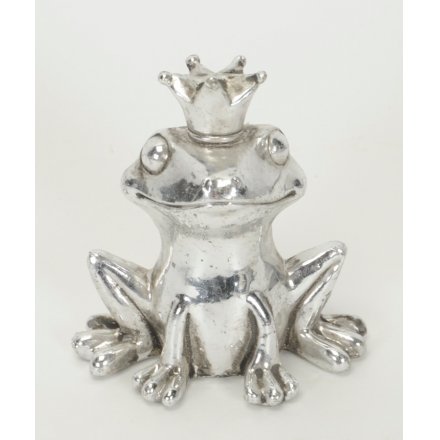 Silver Frog Prince