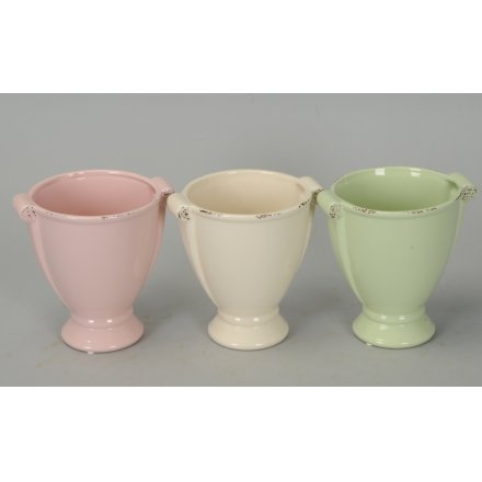 Cup Planters, 3 Assorted