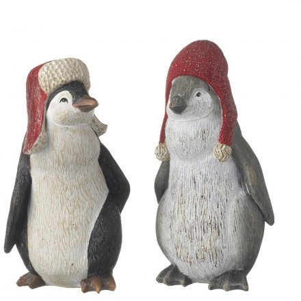 Winter Hatted Penguins 