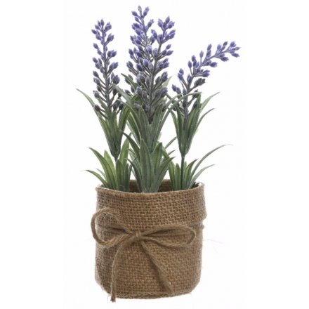 Lavender Plant Jute Pot 23cm