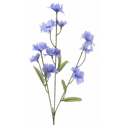 Silk Purple Cornflower 55cm