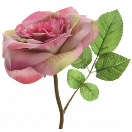 Silk Pink Open Rose 30cm