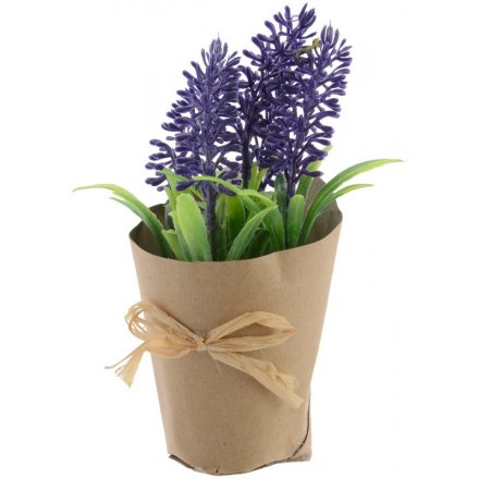 Paper Pot Lavender 18.5cm