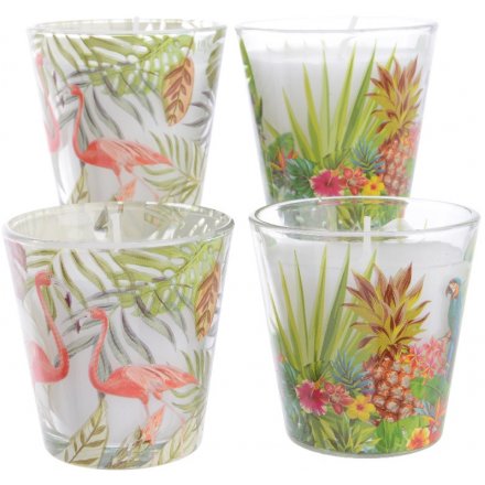  This stylish and summer ready assortment of wax candles will add a tropical feel to any room 