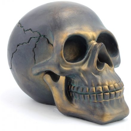 Exotic Art Distressed Skull - Large